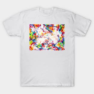 Confetti - My Original Art T-Shirt